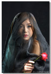JAP_5516
