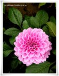 DSCN0279