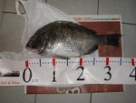 SANY0015m
