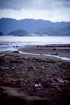 IMG_4498 copy