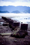 IMG_4499 copy