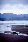 IMG_4500 copy
