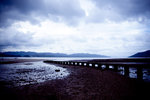 IMG_4501 copy