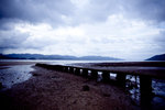 IMG_4505 copy