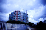 IMG_4531 copy