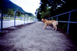 IMG_4534 copy