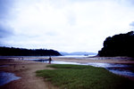 IMG_4535 copy