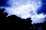 IMG_4541 copy