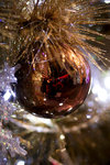 IMG_1420