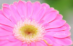 DSC_9551-c