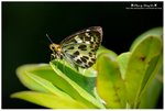 DSC_3254-blog