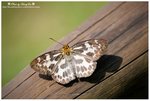 DSC_3269-blog