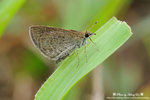 DSC_6506-fotop