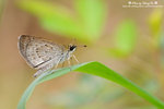 DSC_6541-fotop