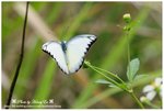 DSC_8861-fotop