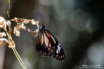 DSC_1670-fotop