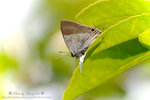 DSC_7522-fotop