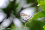 DSC_7691-fotop