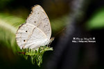DSC_9899-fotop