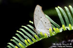 DSC_9912-fotop