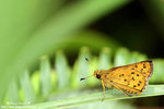 �˽�08�I�����
