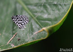 DSC_2139-fotop