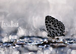 DSC_5052-fotop