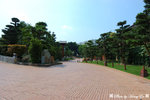DSC_3719_A2