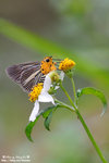 DSC_3410-fotop