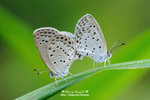 DSC_6972-fotop