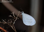 DSC_5236-blog