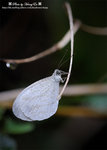 DSC_5245-fotop