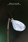 DSC_5294-fotop