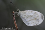 DSC_5315-fotop