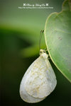 DSC_5396-fotop