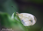 DSC_5420-blog