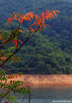 DSC_9431-b