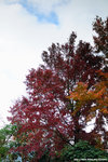 DSC_9434-b