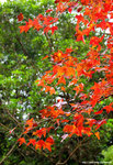 DSC_9450-b