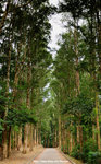 DSC_9458-b