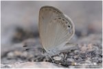 DSC_0678-b
