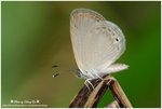 DSC_0697-b