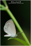 DSC_0844-b