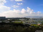 R0012038-fotop