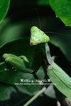DSC_3113-blog