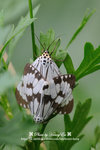 DSC_3140-blog