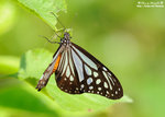 DSC_9729-fotop