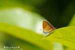 DSC_1768-fotop
