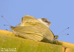 DSC_1579-blog