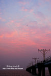 DSC_7664-a